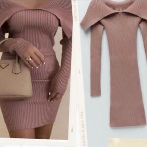 Sold out Zara Dusty Rose Ribbed Long Sleeve Bodycon Dress